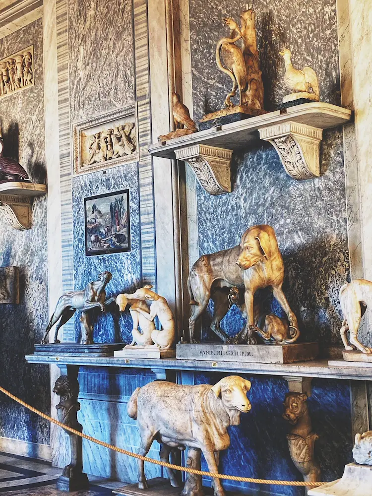Stanza degli animali - Musei Vaticani